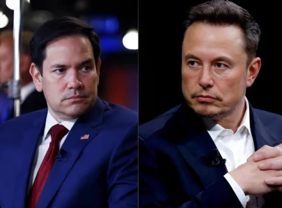 elon musk and marco rubio clash in tense trump cabinet meeting