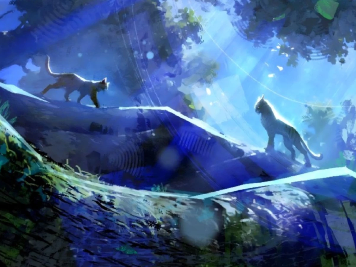 photo tencent video