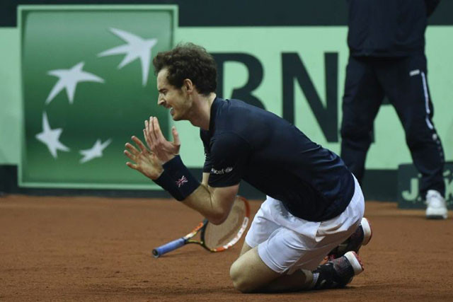 andy murray reacts after winning his tennis match against belgium 039 s david goffin to win the davis cup final for britain on november 29 2015 photo afp andy murray reacts after winning his tennis match against belgium 039 s david goffin to win the davis cup final for britain on november 29 2015 photo afp
