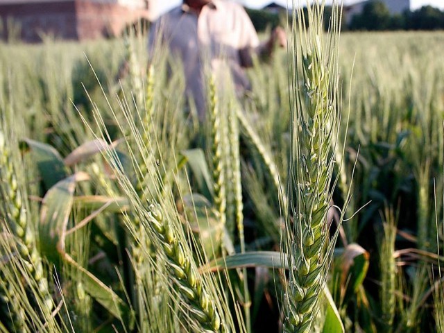 workshop begins with intent to combat climate change issues photo inp file