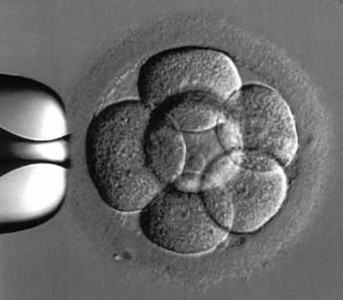 too early to use gene editing in embryos scientist