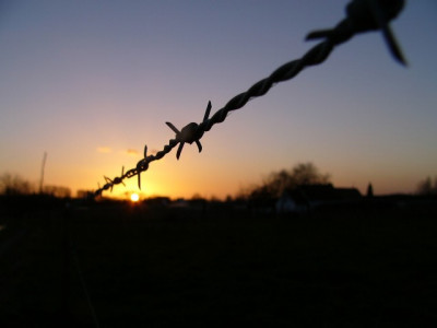 fear and loathing for military coups