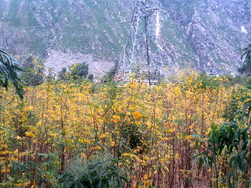 a view of shangla valley photos umar bacha express