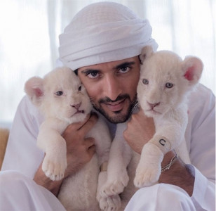 a peek into the glamorous life of the crown prince of dubai a peek into the glamorous life of the crown prince of dubai