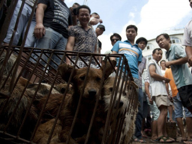 another 30 villagers were also hospitalised with nine still needing treatment says official photo afp another 30 villagers were also hospitalised with nine still needing treatment says official photo afp