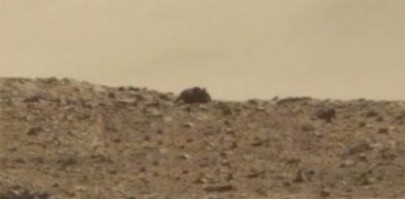 mouse trap mouse trap