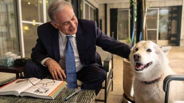 israeli pm with his dog kaiya photo times of israel via facebook