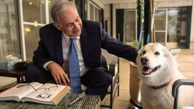 israeli pm with his dog kaiya photo times of israel via facebook israeli pm with his dog kaiya photo times of israel via facebook