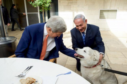 netanyahu family dog put in quarantine after biting guests
