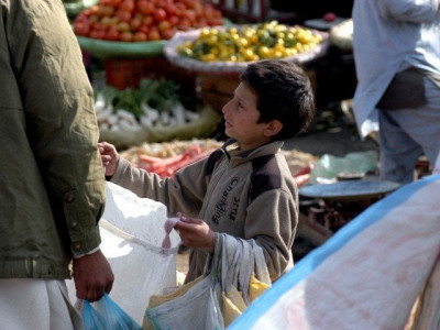 from scars to books zamung kor to adopt one in one out policy