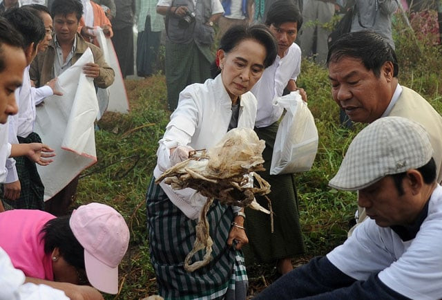chairperson of national league for democracy nld aung san suu kyi c clears garbage with nld party members and local residents during a clean up in kawhmu township yangon on december 13 2015 photo afp chairperson of national league for democracy nld aung san suu kyi c clears garbage with nld party members and local residents during a clean up in kawhmu township yangon on december 13 2015 photo afp