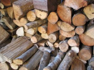 when fire doesn t burn timergara residents flay forest dept over ban on firewood when fire doesn t burn timergara residents flay forest dept over ban on firewood