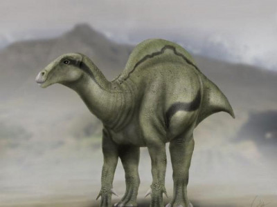 unusual sail backed dinosaur roamed spain 125 million years ago unusual sail backed dinosaur roamed spain 125 million years ago