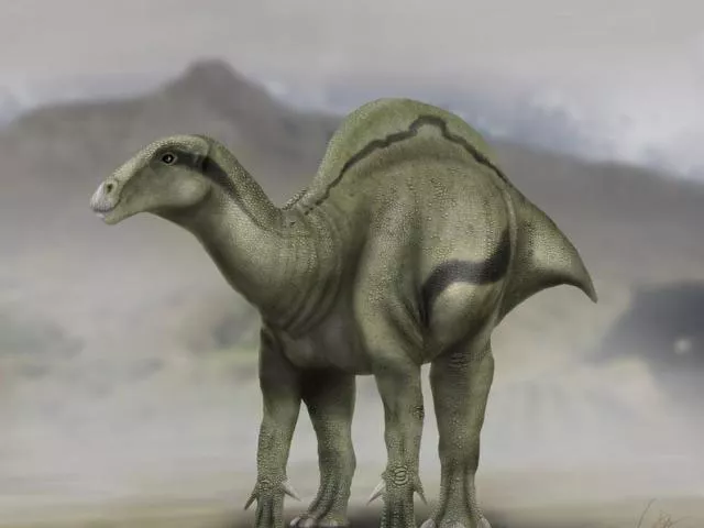 a life reconstruction of morelladon is shown in this illustration provided by carlos de miguel chaves a life reconstruction of morelladon is shown in this illustration provided by carlos de miguel chaves