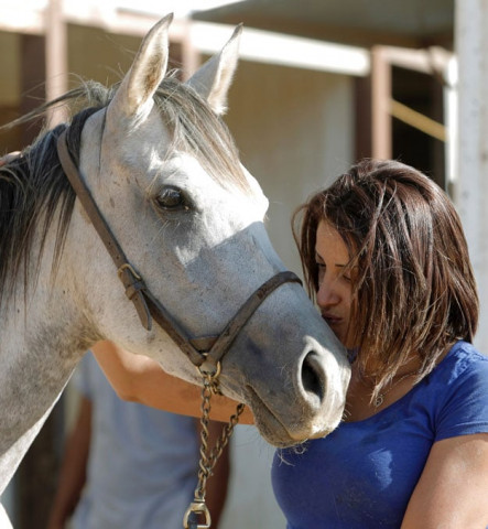 druze horsewoman and trainer rajaa kheir poses with a horse on september 22 2015 at her ranch the only arab centre in the area in the druze town of majdal shams in the southern foothills of mount hermon north of the golan heights photo afp druze horsewoman and trainer rajaa kheir poses with a horse on september 22 2015 at her ranch the only arab centre in the area in the druze town of majdal shams in the southern foothills of mount hermon north of the golan heights photo afp