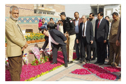 families of martyrs given facilitation cards