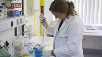 gene editing is science mag s breakthrough of 2015 gene editing is science mag s breakthrough of 2015