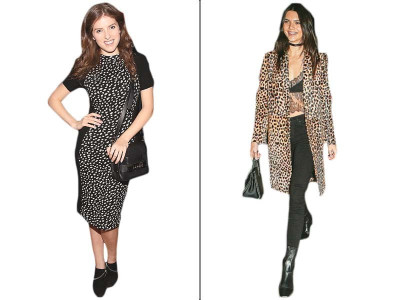 this or that starlets embrace the wild side