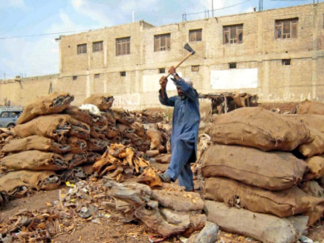 a man cuts a tree trunk to sell in wana bazaar photo courtesy noor ali a man cuts a tree trunk to sell in wana bazaar photo courtesy noor ali
