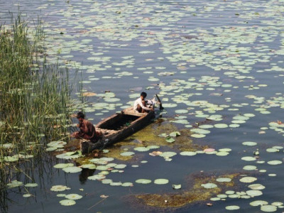 karachi s water supply being polluted by animal carcasses