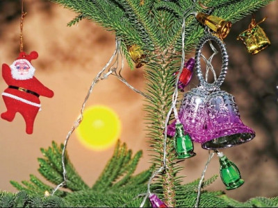 christmas celebrated with fervour in twin cities