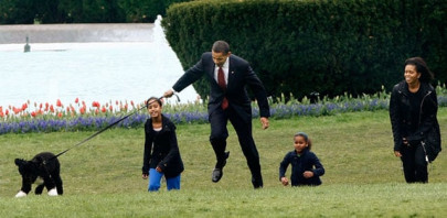 obamas and their dogs send festive cheer to americans obamas and their dogs send festive cheer to americans