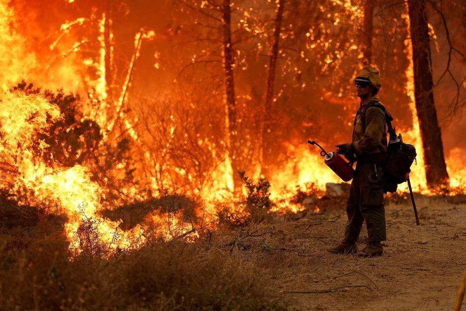ایک فائر فائٹر 9 ستمبر 2022 کو امریکی ریاست کیلیفورنیا کے Volcanoville میں مچھروں کی آگ سے لڑتے ہوئے بیک فائر سے شعلوں کی نگرانی کر رہا ہے۔ REUTERS/Fred Greaves