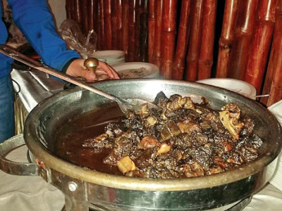 taste buds and health youth festival kicks off in peshawar taste buds and health youth festival kicks off in peshawar