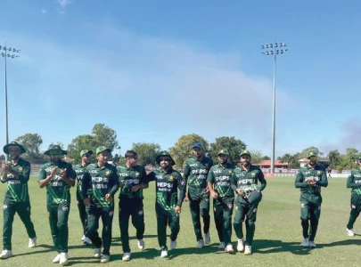 shaheens continue to shine in limited overs shaheens continue to shine in limited overs