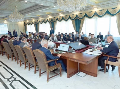 cabinet discusses probe into ppra