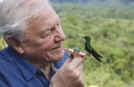 david attenborough in life in colour photo imdb
