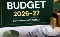 committees formed to address budget woes