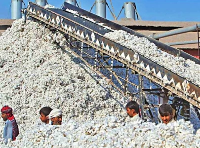 traders demand immediate reopening of cotton market