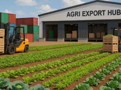 high value agri exports can unlock billions of dollars