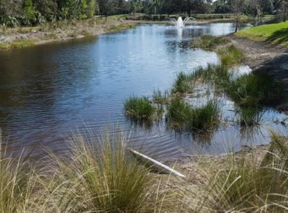 dengue breeding grounds uncovered