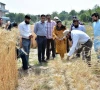 uaf mobilises 32 000 students for wheat drive uaf mobilises 32 000 students for wheat drive
