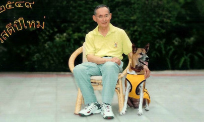 thai king s favourite dog dies after insult arrest