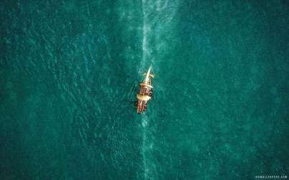 film review in the heart of the sea   no navigation