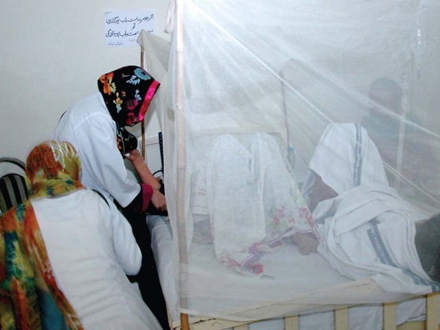 more than 58 000 dengue positive larvae sites reported from lahore in 2015 photo express