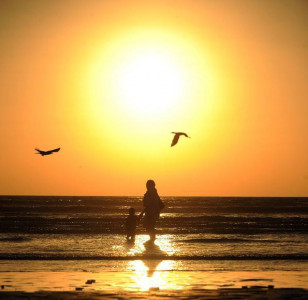 what was hot and what was not in 2015