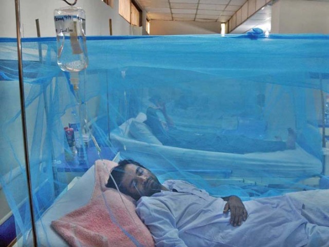 Dengue stalks Punjab amid rains - Vimarsana News