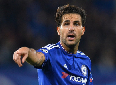 fabregas going nowhere   hiddink