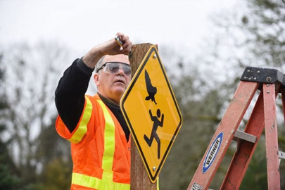 attack owl returns in oregon targeting government workers attack owl returns in oregon targeting government workers