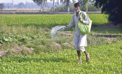 excessive delay fertiliser firms await rs5b worth of subsidy payments excessive delay fertiliser firms await rs5b worth of subsidy payments