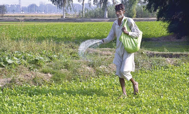 around a dozen fertiliser producing and importing companies had imported dap and sold it in the market at a subsidised rate photo app