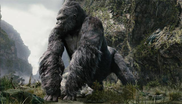 study shows king kong lived only in the forest was a strict vegetarian and probably wasn 039 t crazy about bamboo photo comic vine study shows king kong lived only in the forest was a strict vegetarian and probably wasn 039 t crazy about bamboo photo comic vine