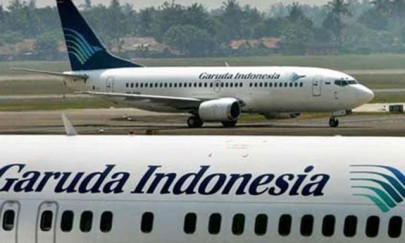 indonesian passengers stung by delay due to bee on plane indonesian passengers stung by delay due to bee on plane