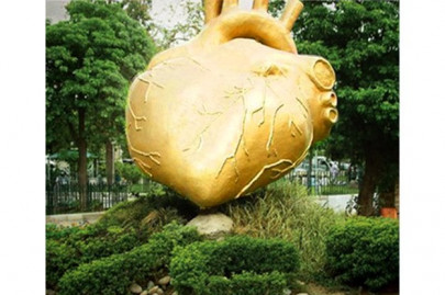 kihd angiography department shut down kihd angiography department shut down