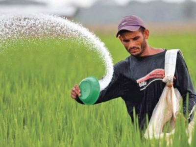 senate body approves plant breeders rights act senate body approves plant breeders rights act