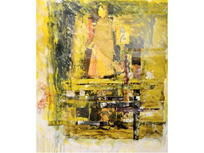 the first ever art photography show opens at aiou